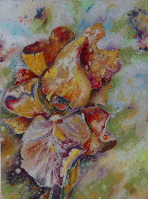 La flore